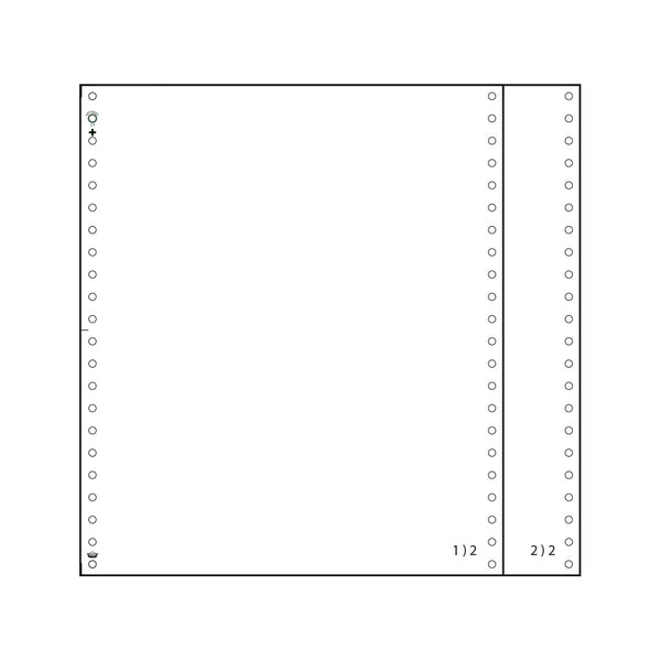 Χαρτί Μηχανογράφησης 24X28cm, Διπλότυπο (Λευκό / Λευκό). Με Οπές Αρχειοθέτησης και Περφορέ